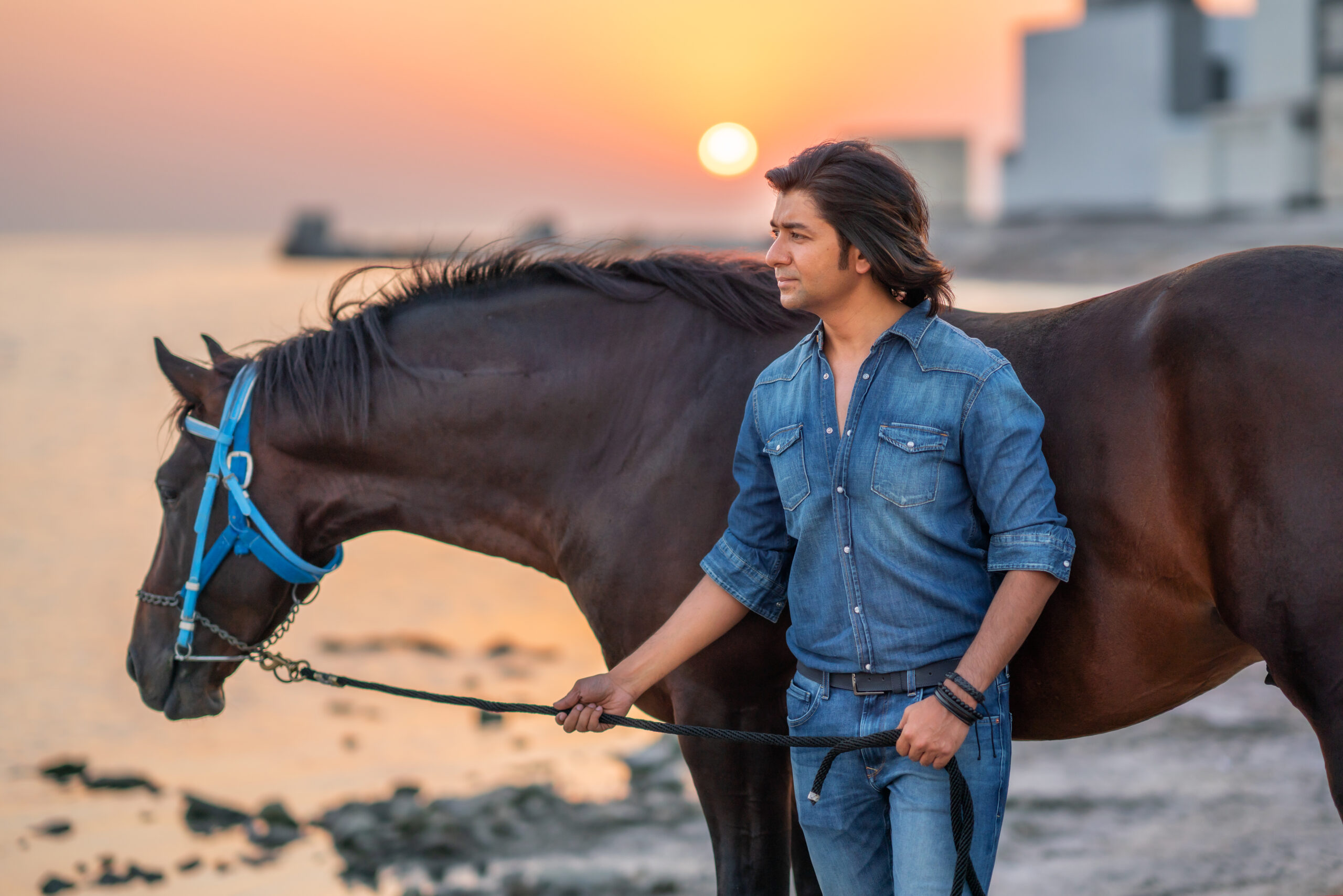 The Art of Light: Photographing Horses in a Studio Setting